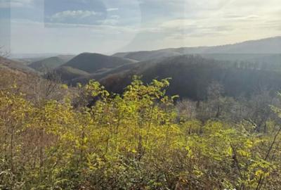 Teren de 20424 mp, în Cerbăl - 3