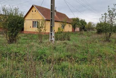 Casă cu Teren 873 Mp în Brestovăț - 1