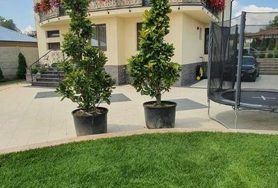 Casă cu 4 camere în Central - 2