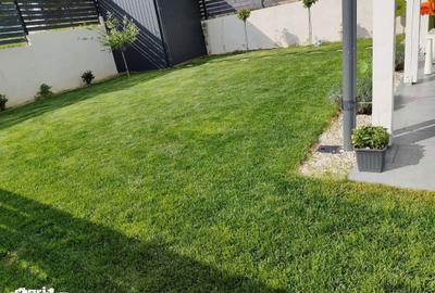 Casă cu 4 camere cu Teren 350 Mp în Central - 4