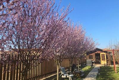 COMISION 0% Casa Individuala mobilata si utilata in Giarmata Vii - 24