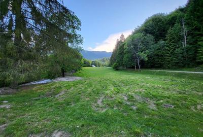 Teren de 12.000 mp la Vama Buzăului – Locație de Vis cu PUZ Aprobat - 9