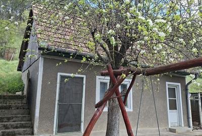 Casă cu 3 camere decomandat cu Teren 2000 Mp în Gârbău - 4