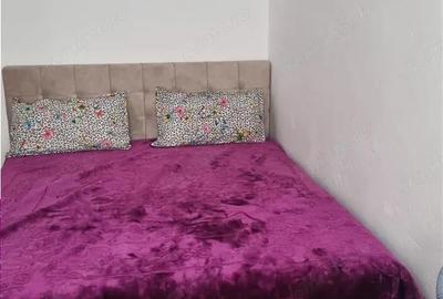 Apartament cu 2 camere semidecomandat în Petrișor - 5