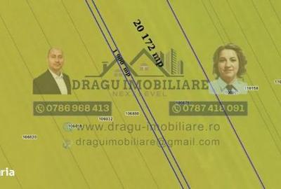 Teren de 75000 mp, în Mazepa 1 - 2