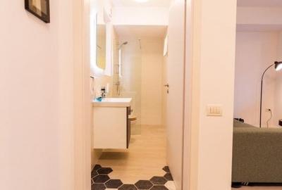 Inchiriere Garsoniera deosebita vedere lac disponibila extrasezon - 12