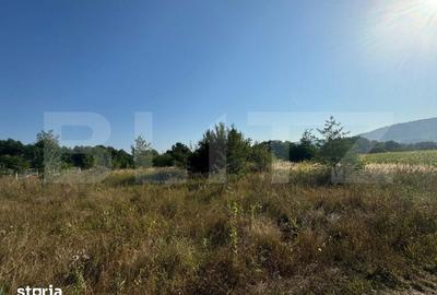 Teren de 4000 mp, în Dărmănești - 2