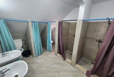 Casă cu 2 camere în Sânandrei - 13