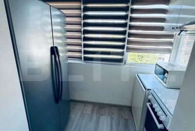 Apartament cu 2 camere decomandat în Lăpuș Argeș - 4