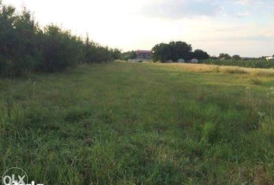 Teren de 3277 mp, în Snagov - 2