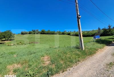 Teren de 9600 mp, în Criș - 3