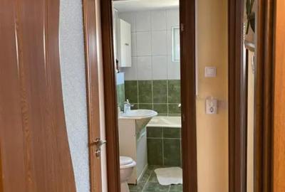 Apartament cu 2 camere semidecomandat în Brazda lui Novac - 10