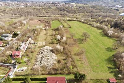 Teren de 23345 mp, în Cornu - 3