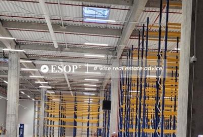 Spațiu comercial, de 5,300 mp, în Chitila - 3