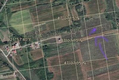 Spațiu comercial, în Paleu - 2