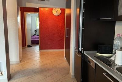 Apartament cu 3 camere decomandat în Valea Borcutului - 6