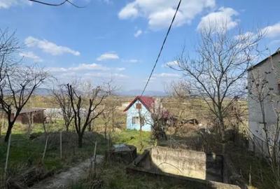 Casă cu 3 camere cu Teren 3300 Mp în Coltău - 3