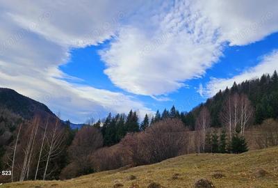 Teren extravilan 4 mp Valea Cheii Dambovicioara - 1