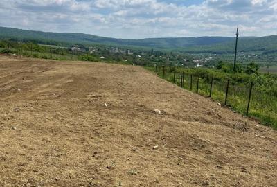 Teren Construcții intravilan de 650 mp, în Bucium - 1