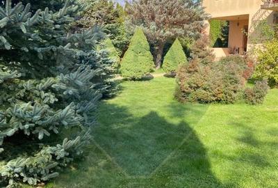 DE VANZARE Vila de vacanta in Pucioasa /Dambovita - 4