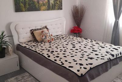 Casă cu 3 camere în Josani (Măgești) - 3
