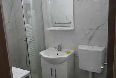 Garsonieră nedecomandată în Girocului - 3