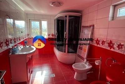 Vila-posibilitate pensiune Tarcau DN - 7