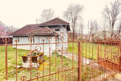 Casă cu 2 camere în Almaș - 15