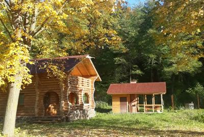 Cabana de lemn Racoasa, judet Vrancea - 3