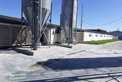 Oferta de vanzare hala 1933 mp,  teren 4620 mp., 380000 Eur - 5