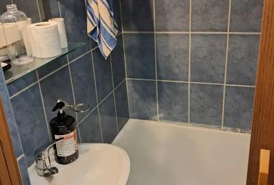 Inchiriez garsoniera calea buziasului - 5