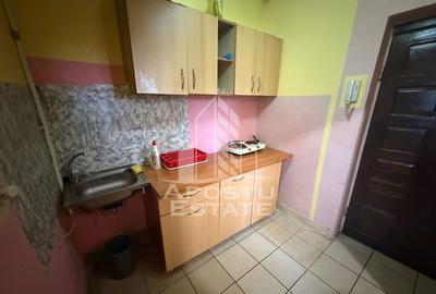 Apartament cu 1 camera, zona Buziasului - 3