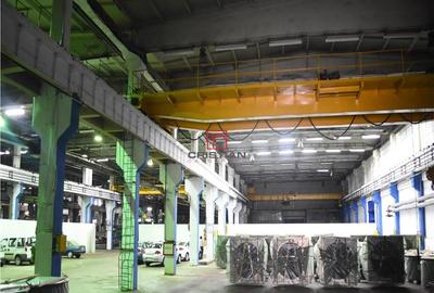 Spațiu comercial, de 5,000 mp, în Basarabia - 10