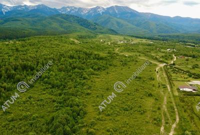 Teren de 2000 mp, în Porumbacu de Sus - 2