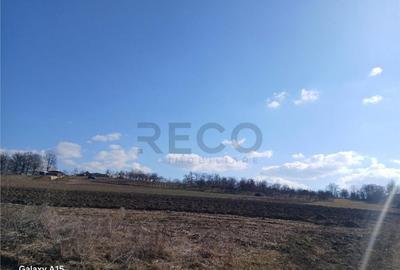 RECO teren Mierlau - 3