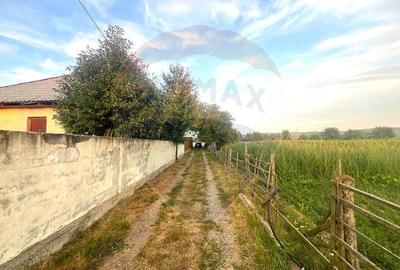 Casă cu 3 camere cu Teren 459 Mp în Letea Veche - 2