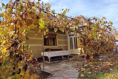 Casa locuibila, cu doua corpuri, utilita?i, 1200 mp teren - 8