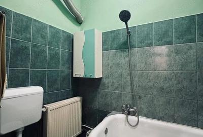 AV660 Apartament 1 camera, la curte, zona strazii Mangalia-Iosefin - 18