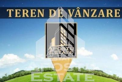 Teren 3800 Mp Ghioroc cu Utilitati - 1