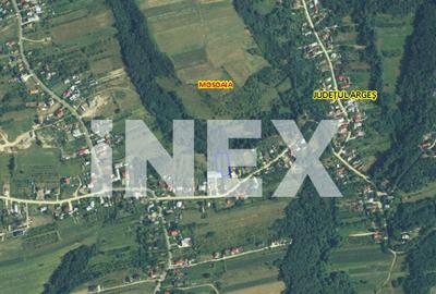 Teren de vanzare in Hintesti, comuna Mo?oaia, Str. Princi - 1