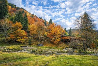 Teren intravilan de 4591 mp, în Plaiul Foii - 10