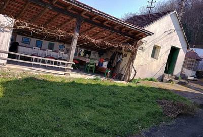 Casă cu 3 camere cu Teren 2000 Mp în Tisa - 8