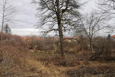 Casă cu 2 camere cu Teren 1547 Mp în Feleacu - 1