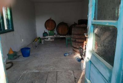 Casă în Enisala - 3