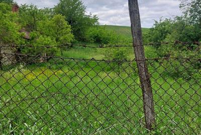 Casă cu 3 camere cu Teren 2913 Mp în Măhăceni - 4