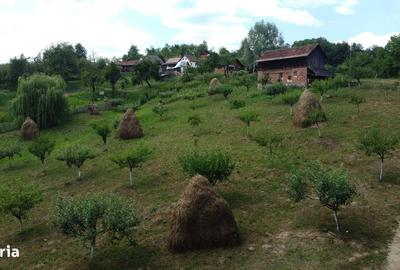 Spațiu comercial, în Cicănești - 8