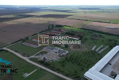 Teren Construcții intravilan de 5 mp, în Zăbrani - 2