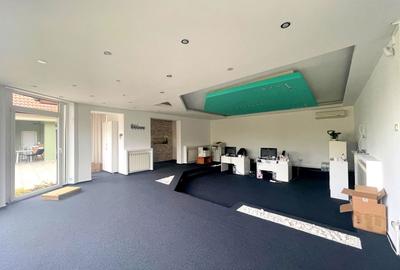 Casa individuala, plan parter in Mehala - 4