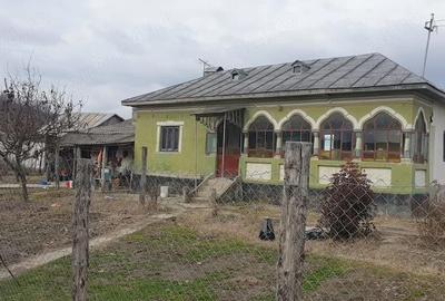 Casă cu 3 camere cu Teren 2000 Mp în Bulzești - 10