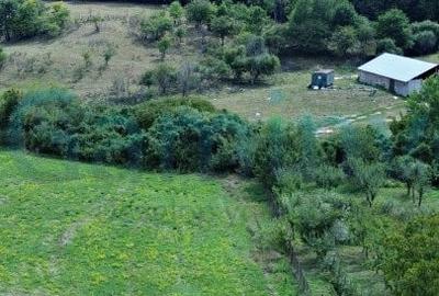 Teren Construcții intravilan de 2089 mp, în Betfia - 1